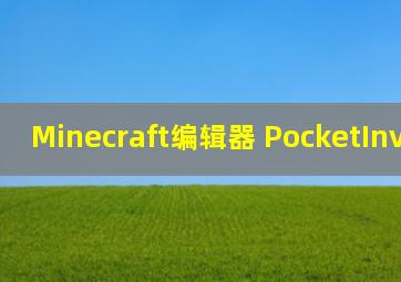 Minecraft编辑器 PocketInvEditor